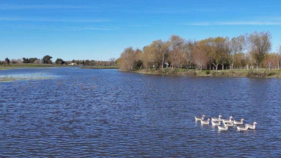 Naturaleza