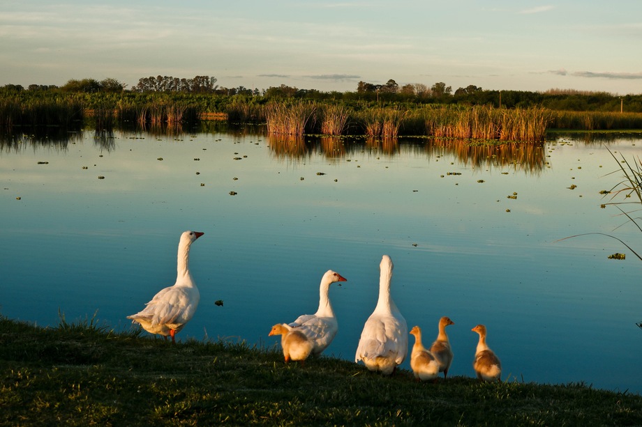 Naturaleza
